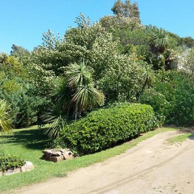 Vista Giardino 